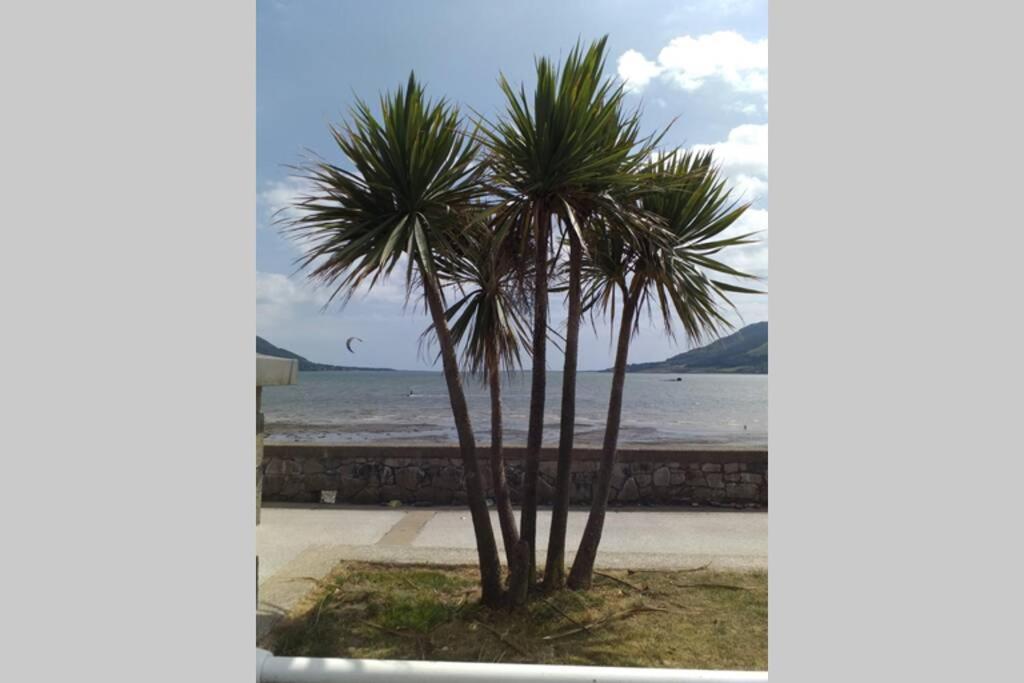 Are You Looking For A Big Piece Of Heaven? Warrenpoint Zewnętrze zdjęcie